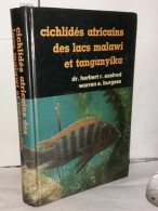 Cichlidés Africains Des Lacs Malawi Et Tanganyika - Non Classificati