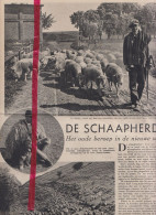 Artikel - De Schaapherder - Orig. Knipsel Coupure Tijdschrift Magazine - 1937 - Non Classés