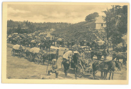 POL 7 - 13894 Galizien, ZLOTA-GORA, Poland, Market - Old Postcard - Unused - Polonia