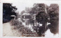 Surrey - WEYBRIDGE - The River - Surrey