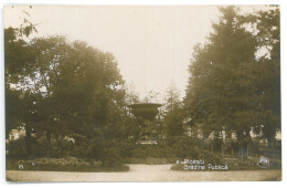 RO 83 - 25073 PLOIESTI, Public Garden, Parc, Romania - Old Postcard, Real Photo - Unused - Romania