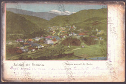 RO 83 - 25085 RUCAR, Arges, Panorama, Litho, Romania - Old Postcard - Used - 1901 - Rumänien