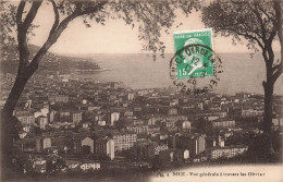 FRANCE - Nice - Vue Générale à Travers Les Olivier - Carte Postale Ancienne - Sonstige & Ohne Zuordnung