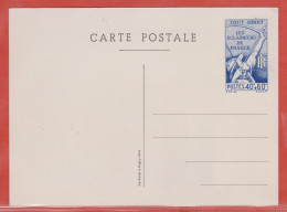 France Entier Postal Types Spéciaux 15 Eclaireurs De France - Autres & Non Classés