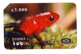 Grenouille Frog  Télécarte Costa Rica Phonecard  (K 282) - Costa Rica