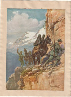 WW 1 ALPINI ARTIGLIERI E MULI TRASPORTO PEZZO IN MONTAGNA RITAGLIO ILL. BELTRAME - War 1914-18