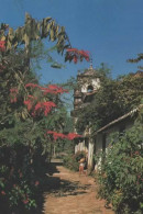 TRAVESSA DO FOGO, PARATY RJ BRASIL, MONUMENTO NACIONAL COULEUR REF 15920 - Otros