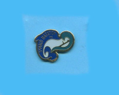 Rare Pins Dauphin Saint Malo Natation Fr530 - Zwemmen