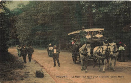 Meudon * La Noce , En Route Pour La Fontaine Sainte Marie * Attelage Calèche Diligence * Cpa Toilée Colorisée - Meudon