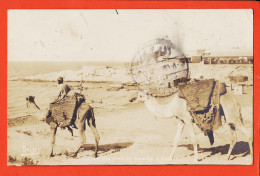 09993 / ⭐ (•◡•) RAMLEH ALEXANDRIE Egypte ◉ Baie STANLEY 1905 à Consulat Grance Smyrne ◉ Carte-Photo-Bromure REISER S.I.P - Alexandrie