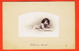 09837 / ⭐ MARSEILLE Photographie CDV 1890s ◉ Bébé Fillette Nue Sur Fourrure ◉ Photo Gustave OUVIERE 5 Rue Darse - Persone Anonimi