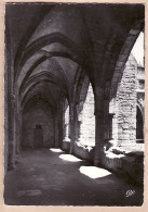 09764 / ⭐ VILLENEUVE-Lès-AVIGNON 30-Gard Le CLOITRE De La COLLEGIALE XIVe Siècle CPSM 1950s - Real Photo CAP 1520 - Villeneuve-lès-Avignon