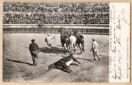 09630 / ⭐ Tauromachie NIMES Gard COURSES De TAUREAUX L' ARRASTRE 1905 Corrida Cptau Nouvelles Galeries N°18 - Nîmes