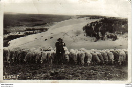 40 Au Pays Gascon N°10 Moutons Sur Les Dunes VOIR ZOOM Berger En Sabots Et Son Chien Transhumance ? VOIR DOS - Otros & Sin Clasificación