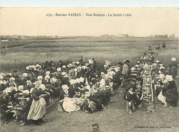 Delcampe - 56 ENVIRONS  D'AURAY - Noce Bretonne . Les Invités à Table - Auray