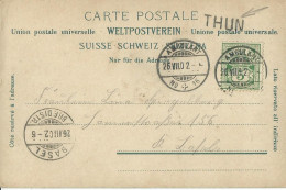 SUISSE  CARTE  5c MARQUE LINEAIRE THUN + AMBULANT N° 16 POUR BALE DE 1902 LETTRE COVER - Covers & Documents