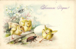 Heureuses Paques ! Poussins Et Insecte RV - Easter