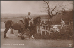 Twelve O' Clock Lunch, C.1910 - Schwerdtfeger RP Postcard - Pferde