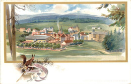 Hahnenklee Bei Goslar - Litho - Goslar