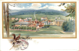 Hahnenklee Bei Goslar - Litho - Goslar