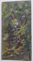 Dessin Gouache Chemin Forestier De Mack - Zeichnungen