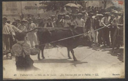 CPA Bouches Du Rhône 13 Tarascon Taureaux écrite - Tarascon