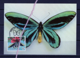 (alm) PAPOUASIE NOUVELLE GUINEE PAPUA NEW GUINEA CARTE MAXIMUM  PAPILLON BUTTERFLY Ornithoptera Alexandrae - Schmetterlinge