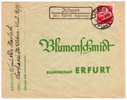 DR 1934, Landpost Stpl. Ischerey über Lüben (Schlesien) Auf Brief M. 12 Pfg. - Briefe U. Dokumente