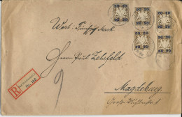 Bayern 1920, MeF 5x20/3 Pf. Auf Portorichtigem Wert Brief V. Bad Reichenhall - Lettres & Documents