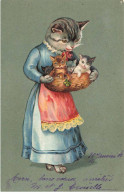 ILLUSTRATEUR TUCK RAPHAEL #FG56988 CHAT BELLE CHATTE HUMANISEE TENANT UN PANIER DE CHATONS - Tuck, Raphael