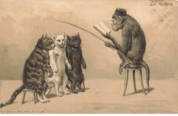 SINGE #FG56652 UN SINGE FAIT LA LECTURE A 3 BEAUX CHATS - Scimmie