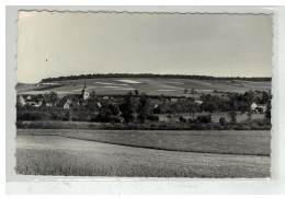 10 RIGNY LE FERRON VUE GENERALE - Autres & Non Classés