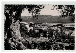 20 A CORSE PORTO VECCHIO VUE GENERALE NÂ°20 247 17 - Sonstige & Ohne Zuordnung