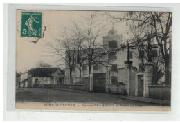 38 PONT DE CHERUY USINES GRAMMONT ET ROUTE DE LYON EDIT VIALATTE - Pont-de-Chéruy