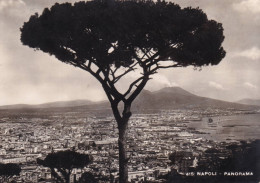 Cartolina Napoli - Panorama - Napoli (Napels)