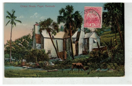 BERMUDES BERMUDA #16736 OLDEST HOUSE PAGET BERMUDA - Bermudes