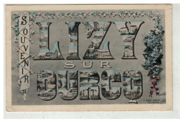 77 LIZY SUR OURCQ #19561 SOUVENIR VUES MULTIPLES - Lizy Sur Ourcq