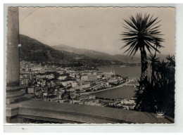 MONACO #18813 MONTE CARLO VUE PRISE DES TERRASSE DU JARDIN EXOTIQUE - Monte-Carlo