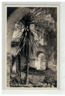 MEXIQUE MEXICO #17586 MISSION SAN JUAN CAPISTRANO CARTE PHOTO - Mexique