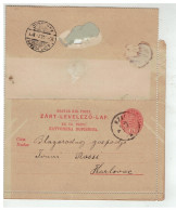 HONGRIE HUNGARY SZLUIN Postal Stationery Sent To Karlovac, Croatia JUL 1893 - Postal Stationery