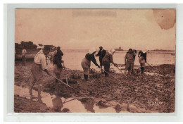 17 ILE D OLERON ET LE CHAPUS RATISSAGE DES HUITRES OSTREICULTURE NÂ°15500 EDIT BERGEVIN - Ile D'Oléron