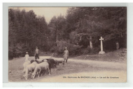 01 BLENOD LE COL DE CRUCHON TROUPEAU DE MOUTONS EN PATURE - Unclassified