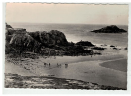 56 QUIBERON LA COTE SAUVAGE ROCHER DE LA TRUIE NÂ°3768 - Quiberon