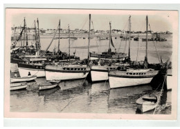 56 QUIBERON SARDINIERS DANS LE PORT NÂ°37 - Quiberon