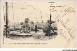 AV-BFP2-1100 - SPECTACLE - Cirque - Eléphants - Souvenir De Barnum Et Bailey - Circus