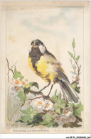 AS#BFP1-0083 - Animaux - Oiseaux - Mésange Charbonnière - Parus Major - Uccelli