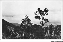 AQ#BFP1-VIETNAM-0252 - TONKIN - AU TAM DAO - Crépuscule - Vietnam