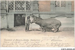 AV-BFP1-0153 - BELGIQUE - Souvenir D'Anvers Jardin Zoologique - L'hippopotame - Autres & Non Classés