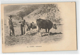 20 CORSE #FG56391 LABOUREURS ATTELAGE DE BOEUFS AGRICULTURE - Sonstige & Ohne Zuordnung