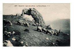 38 LIGNE De LA MURE, La Pierre Percée. Berger, Bergère Et Moutons. - Other & Unclassified